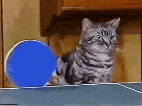 Ping Pong